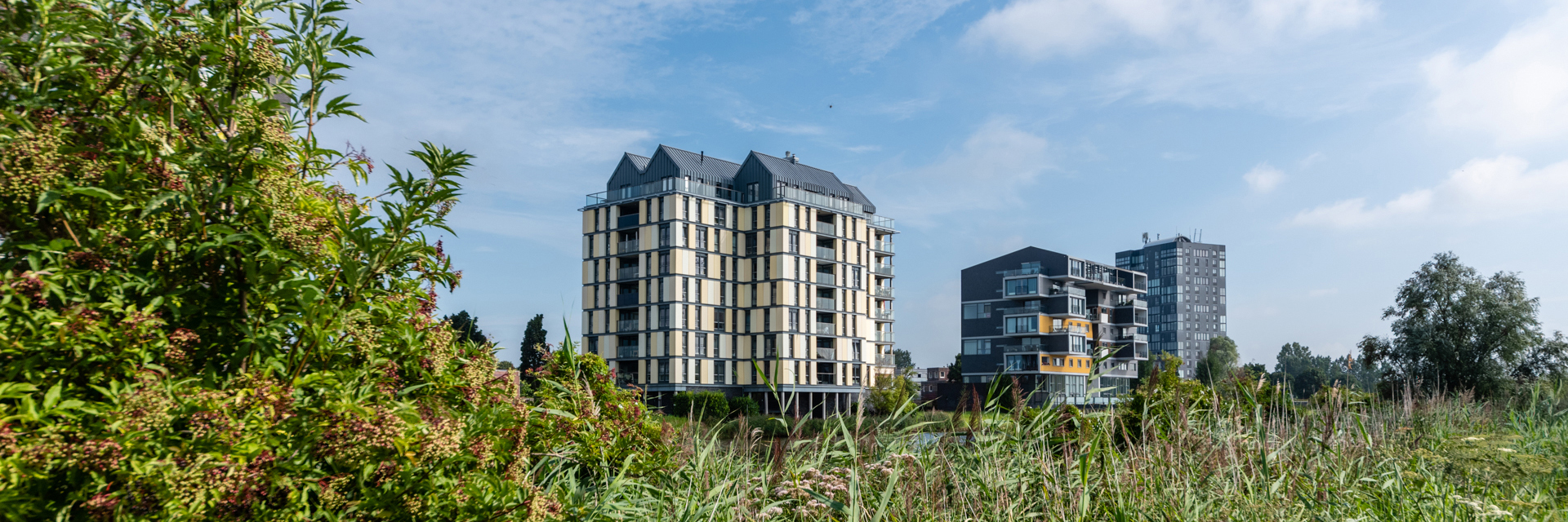 Livestyle Makelaardij