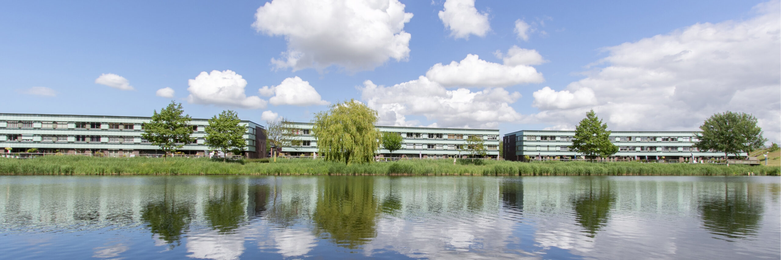 Livestyle Makelaardij